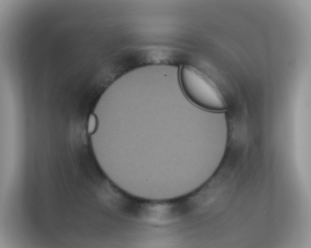 X0000111370313200907311038