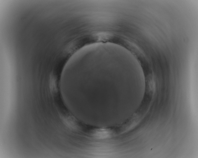 X0000111370316200907311038