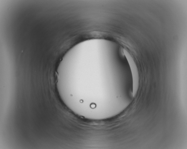X0000111370317200907311038