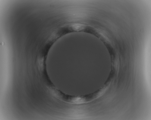 X0000111370319200907311038