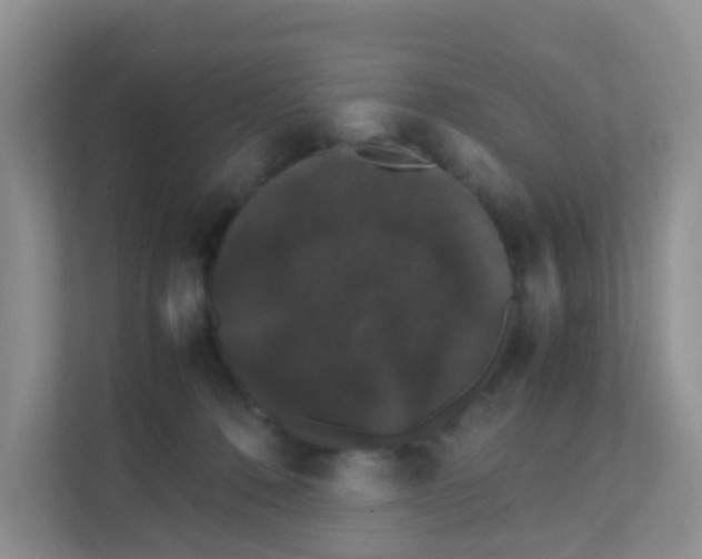 X0000111370320200907311038