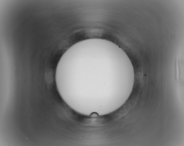 X0000111370323200907311038