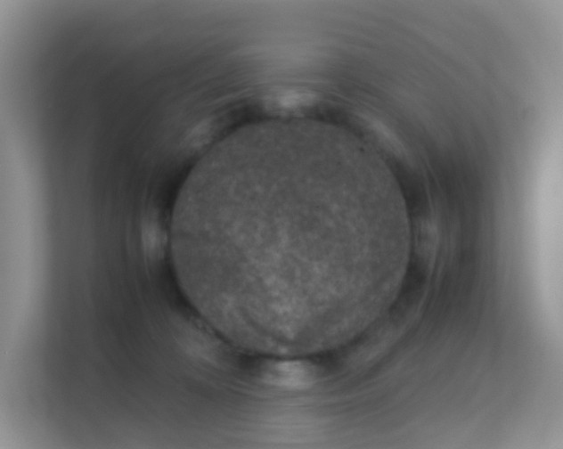 X0000111370324200907311038