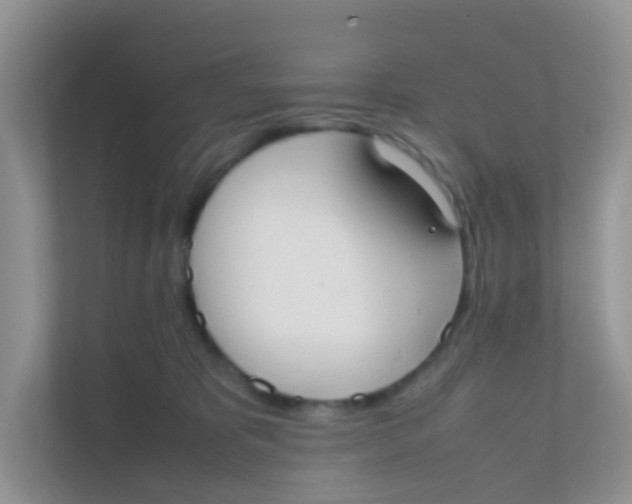 X0000111370325200907311038