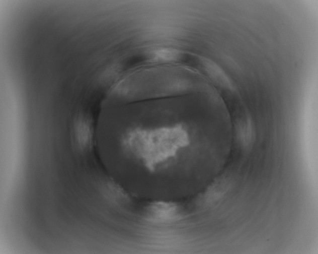 X0000111370328200907311038