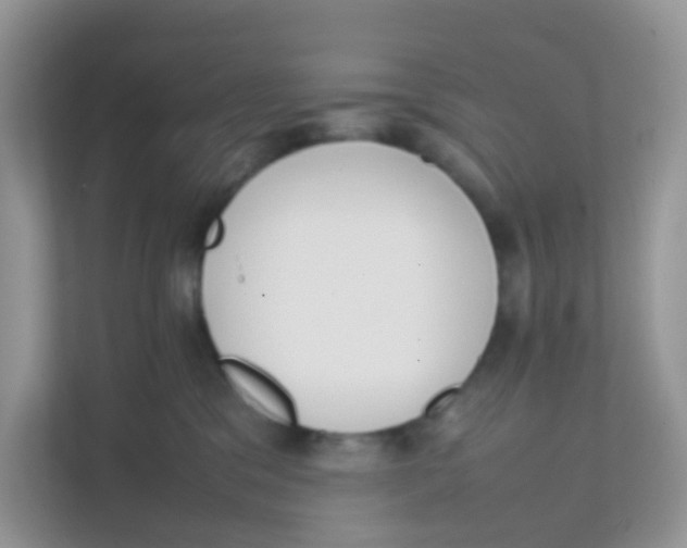 X0000111370329200907311038