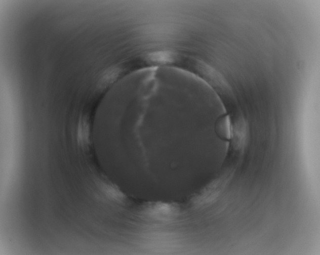 X0000111370330200907311038