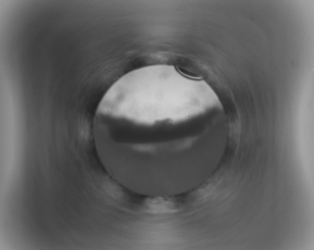 X0000111370331200907311038