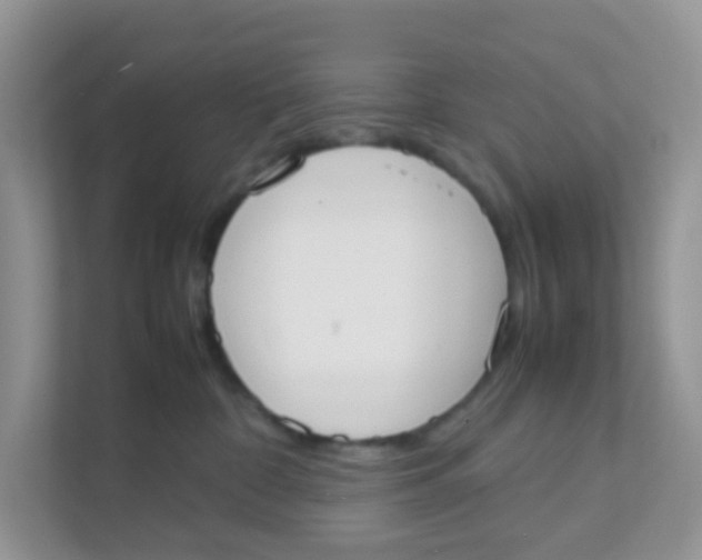 X0000111370332200907311038