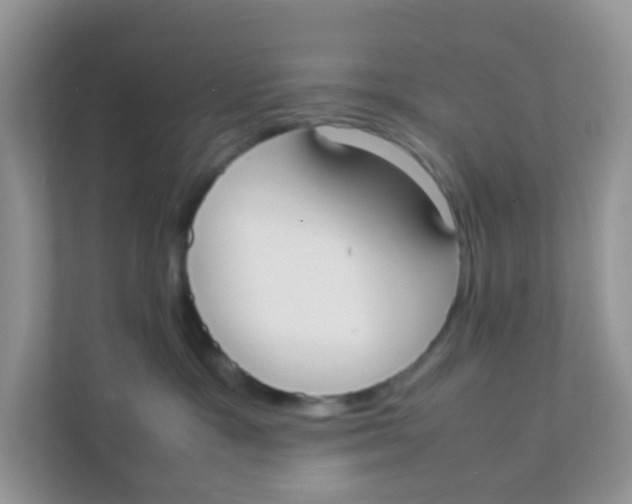 X0000111370333200907311038