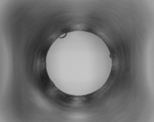 X0000111370334200907311038