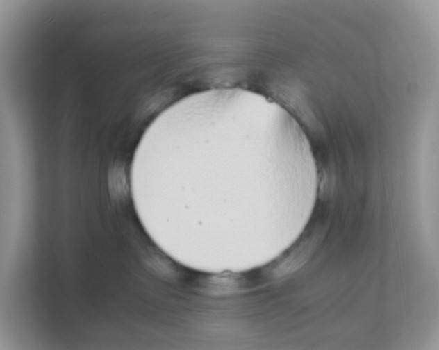 X0000111370335200907311038