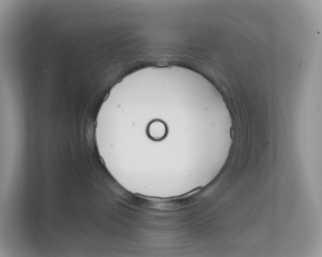 X0000111370336200907311038
