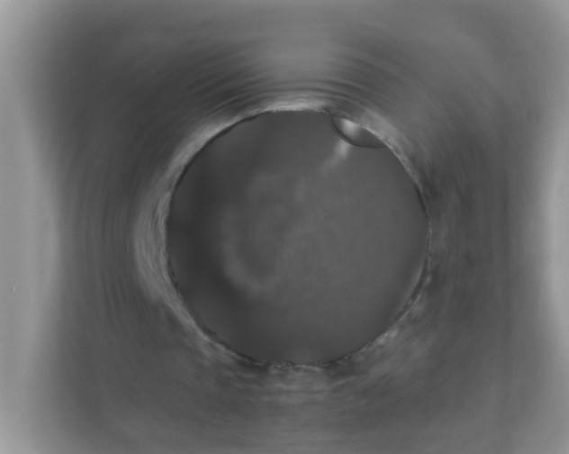 X0000111370337200907311037