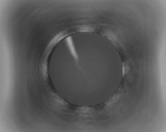 X0000111370339200907311037