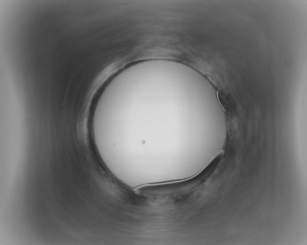 X0000111370340200907311037