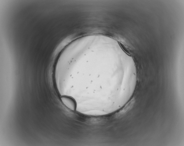X0000111370341200907311037