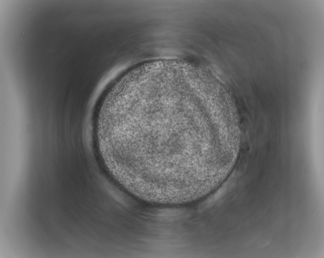 X0000111370342200907311037