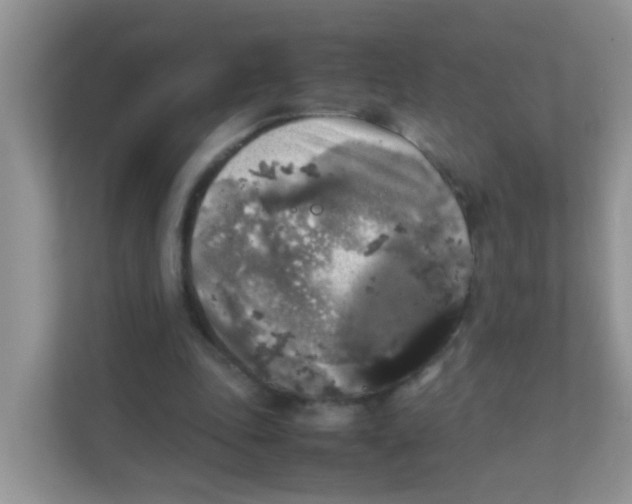 X0000111370343200907311037