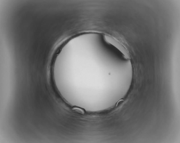 X0000111370344200907311037