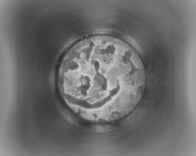 X0000111370346200907311037