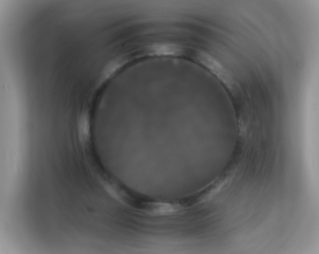 X0000111370347200907311037