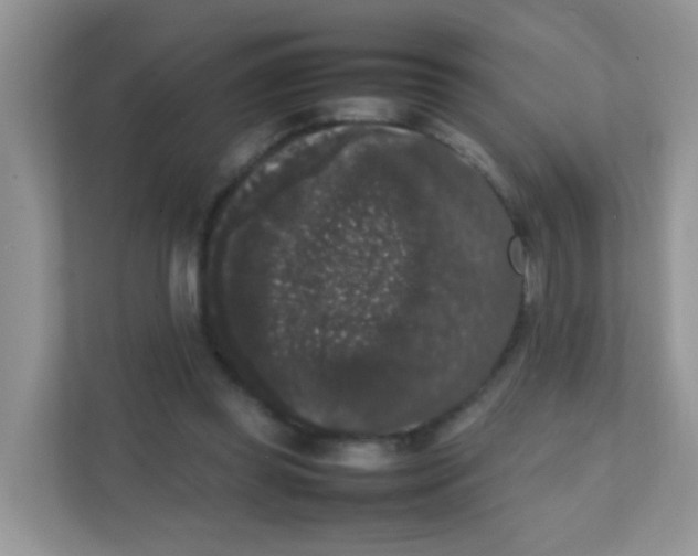 X0000111370349200907311037