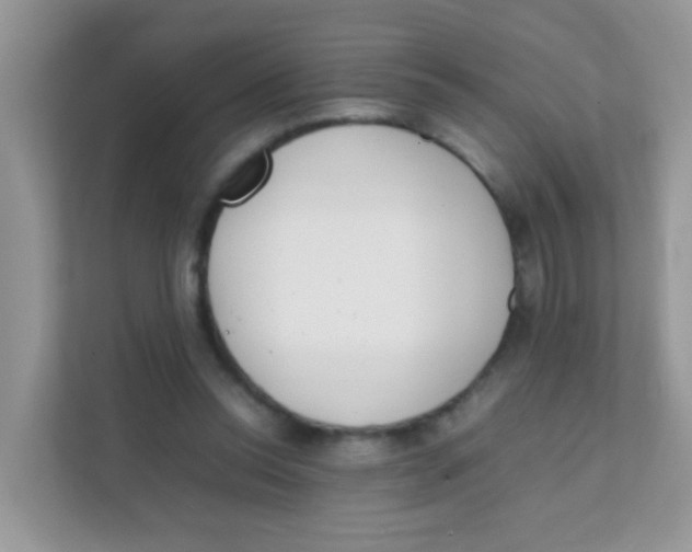 X0000111370350200907311037