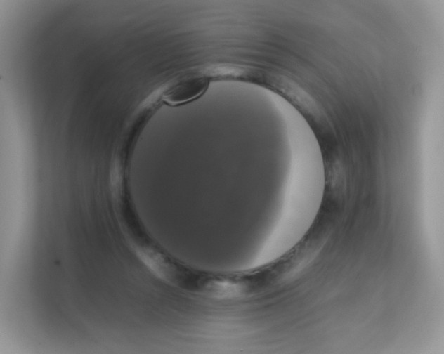 X0000111370352200907311037