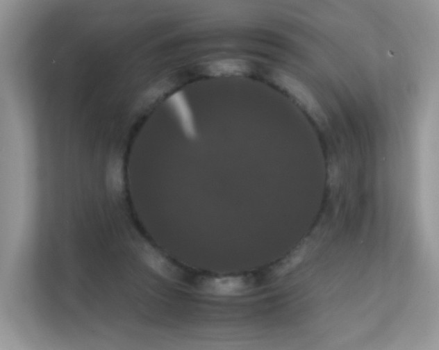 X0000111370353200907311037