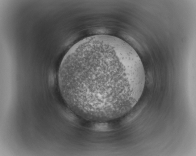 X0000111370355200907311037