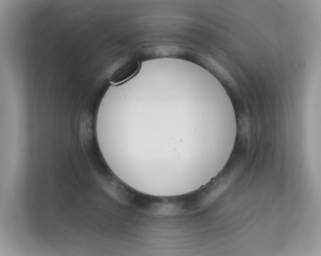 X0000111370356200907311037