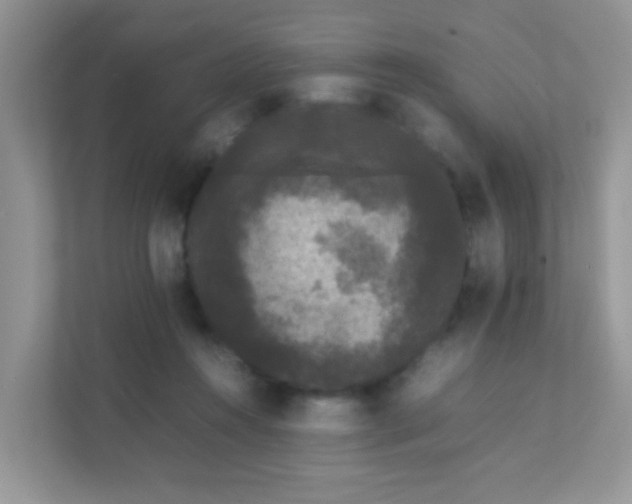 X0000111370360200907311038