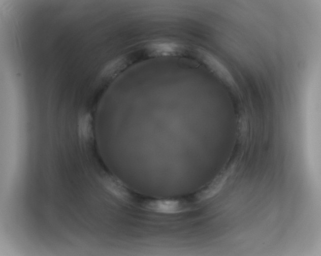 X0000111370361200907311038