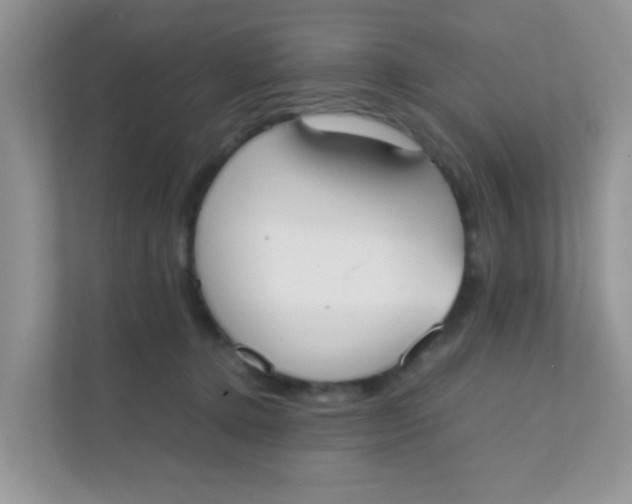 X0000111370368200907311038
