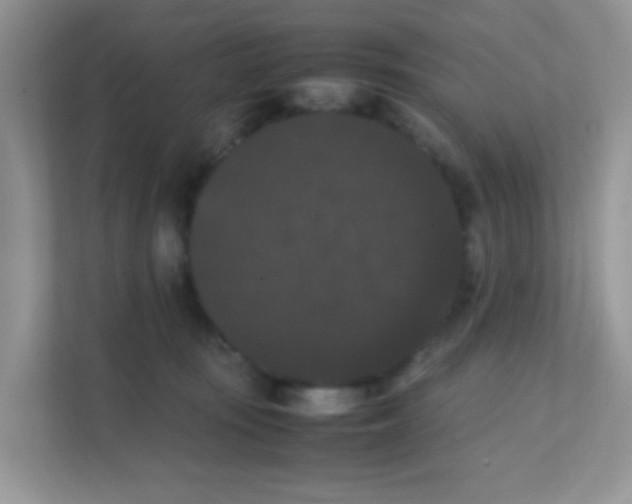 X0000111370371200907311038