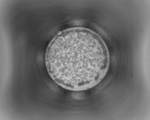X0000111370373200907311038