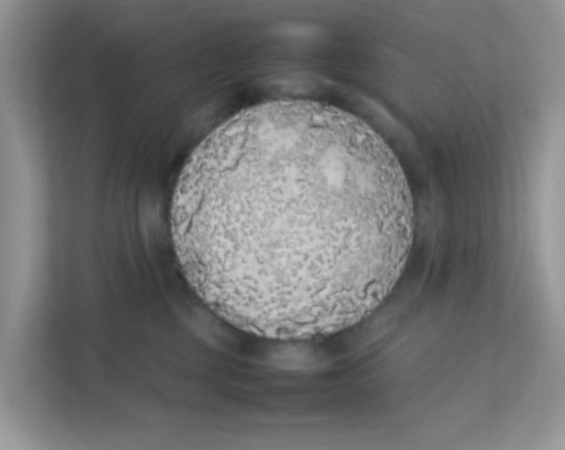 X0000111370377200907311038
