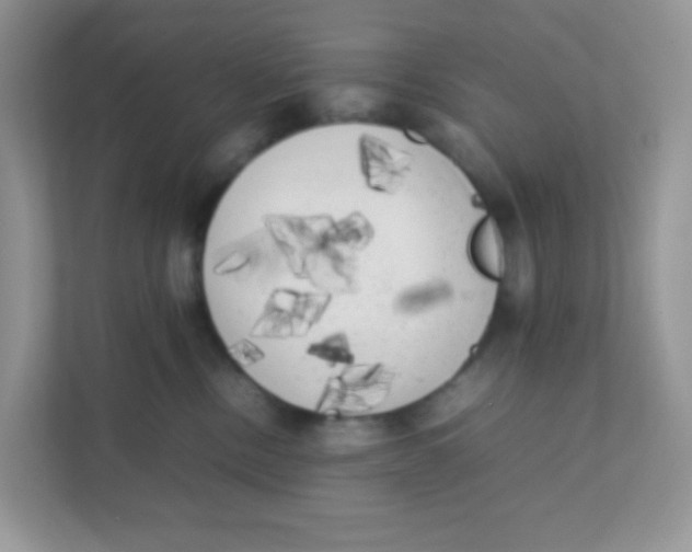 X0000111370378200907311038