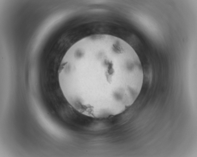 X0000111370381200907311038