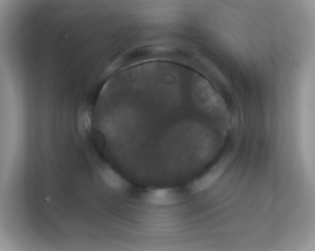X0000111370382200907311038