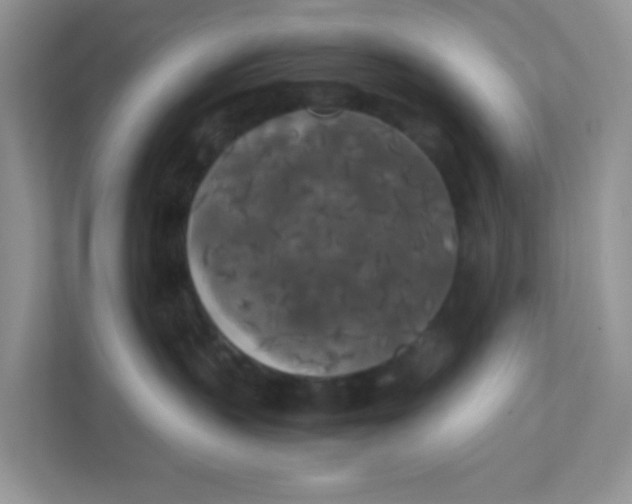 X0000111370383200907311038