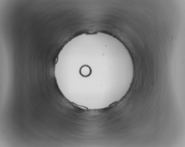 X0000111370384200907311038