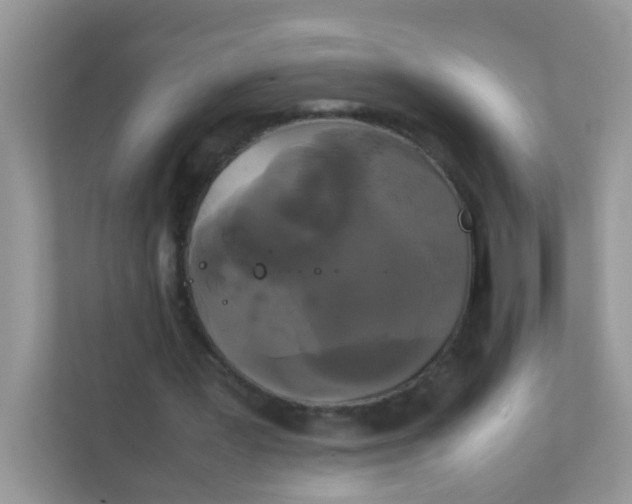 X0000111370387200907311037