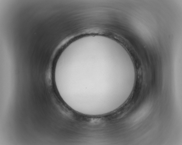 X0000111370388200907311037