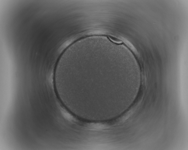 X0000111370389200907311037