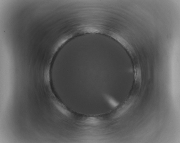 X0000111370390200907311037