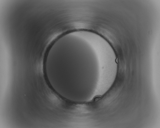 X0000111370391200907311037