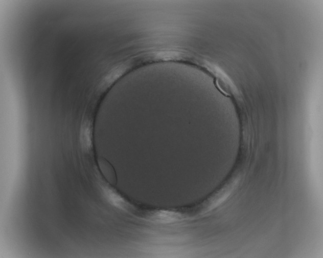 X0000111370393200907311037