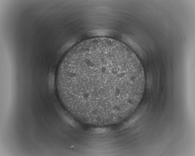 X0000111370394200907311037
